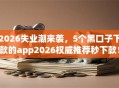 2026失业潮来袭，5个黑口子下款的app2026权威推荐秒下款！