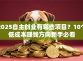 2025自主创业有哪些项目？10个低成本赚钱方向新手必看