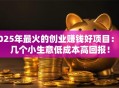 2025年最火的创业赚钱好项目：这几个小生意低成本高回报！