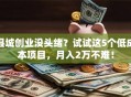 县城创业没头绪？试试这5个低成本项目，月入2万不难！