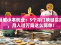 县城小本创业：5个冷门项目实测，月入过万竟这么简单！
