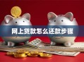 网上贷款怎么还款步骤