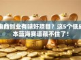 电商创业有啥好项目？这5个低成本蓝海赛道藏不住了！