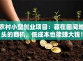 农村小型创业项目：藏在田间地头的商机，低成本也能赚大钱！