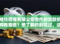 维仕担保有限公司合作的贷款机构有哪些？想了解的别错过，这些信息要知道