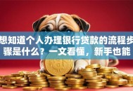 想知道个人办理银行贷款的流程步骤是什么？一文看懂，新手也能轻松搞定！