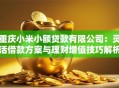 重庆小米小额贷款有限公司：灵活借款方案与理财增值技巧解析