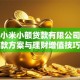 重庆小米小额贷款有限公司：灵活借款方案与理财增值技巧解析