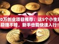 30万创业项目推荐：这5个小生意稳赚不赔，新手也能快速入行！