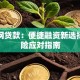 互联网贷款：便捷融资新选择与风险应对指南