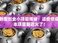 新型创业小项目揭秘：这些低成本项目最近火了！