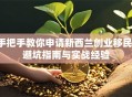 手把手教你申请新西兰创业移民：避坑指南与实战经验