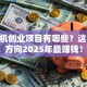 计算机创业项目有哪些？这10个方向2025年最赚钱！