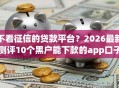 不看征信的贷款平台？2026最新测评10个黑户能下款的app口子入口