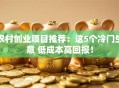 农村创业项目推荐：这5个冷门生意 低成本高回报！