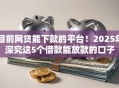 目前网贷能下款的平台！2025年深究这5个借款能放款的口子