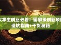大学生创业必看！国家级创新项目避坑指南+干货秘籍