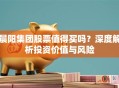 晨阳集团股票值得买吗？深度解析投资价值与风险