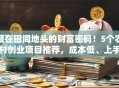 藏在田间地头的财富密码！5个农村创业项目推荐，成本低、上手快，普通人也能月入过万