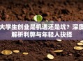 大学生创业是机遇还是坑？深度解析利弊与年轻人抉择