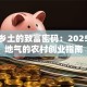 藏在乡土的致富密码：2025最接地气的农村创业指南