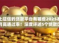 上征信的贷款平台有哪些2025本月高通过率！深度评述5个贷款口子上征信借钱软件有哪些2025