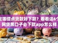 在哪借点贷款好下款？看看这6个网贷黑口子必下款app怎么样