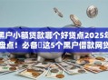 黑户小额贷款哪个好贷点2025年盘点！必备​这5个黑户借款网贷口子好借点