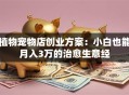 植物宠物店创业方案：小白也能月入3万的治愈生意经