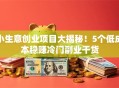 小生意创业项目大揭秘！5个低成本稳赚冷门副业干货