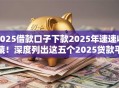 2025借款口子下款2025年速速收藏！深度列出这五个2025贷款平台下款快