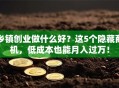 乡镇创业做什么好？这5个隐藏商机，低成本也能月入过万！