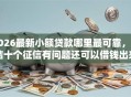 2026最新小额贷款哪里最可靠，总结十个征信有问题还可以借钱出来的平台！