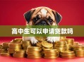 高中生可以申请贷款吗