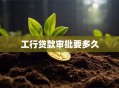 工行贷款审批要多久