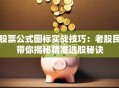 股票公式图标实战技巧：老股民带你揭秘精准选股秘诀