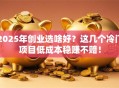 2025年创业选啥好？这几个冷门项目低成本稳赚不赔！