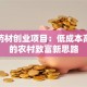 种植药材创业项目：低成本高回报的农村致富新思路