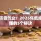 生意项目创业：2025年低成本稳赚的5个秘诀