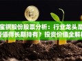 宝钢股份股票分析：行业龙头是否值得长期持有？投资价值全解析！