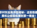 农村创业新项目揭秘：这些隐藏商机让你轻松赚到第一桶金！