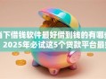 当下借钱软件最好借到钱的有哪些！2025年必试这5个贷款平台最好借到钱的软件