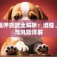 房照抵押贷款全解析：流程、利率与风险详解