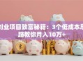 创业项目致富秘籍：3个低成本思路教你月入10万+