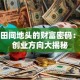 藏在田间地头的财富密码：农村创业方向大揭秘