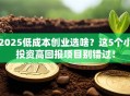 2025低成本创业选啥？这5个小投资高回报项目别错过！