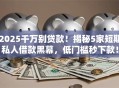 2025千万别贷款！揭秘5家短期私人借款黑幕，低门槛秒下款！