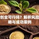 贷款创业可行吗？解析风险、策略与成功案例