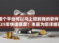 哪个平台可以马上借到钱的软件2025年快速额度！本篇为您详细更新！