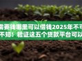 需要钱哪里可以借钱2025年不可不知！验证这五个贷款平台可以借款